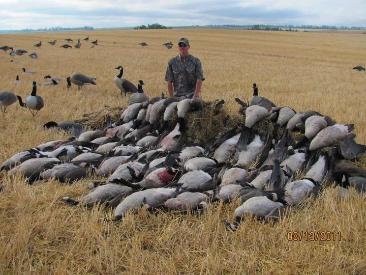 if your bored... season recap/pics Idaho Duck Hunting